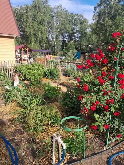 Продам дачу со Горизонт