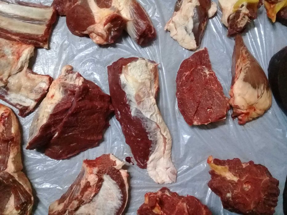 продам откормленый тай