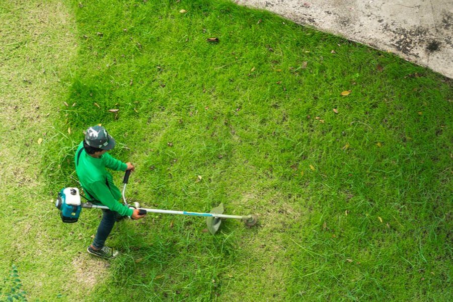 Întrețin spații verzi cu motocoasa