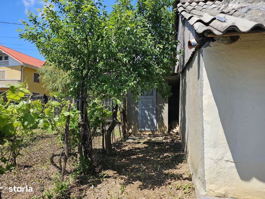 Casă cu teren 1.330 mp și anexe gospodărești în Păunești, Vrancea