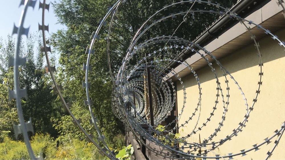Егоза, колючая проволока