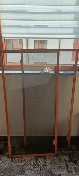 Plase anti insecte, țânțari, muște