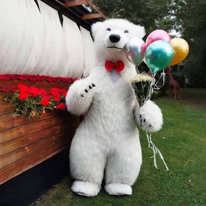 Аниматор Медведь поздравление