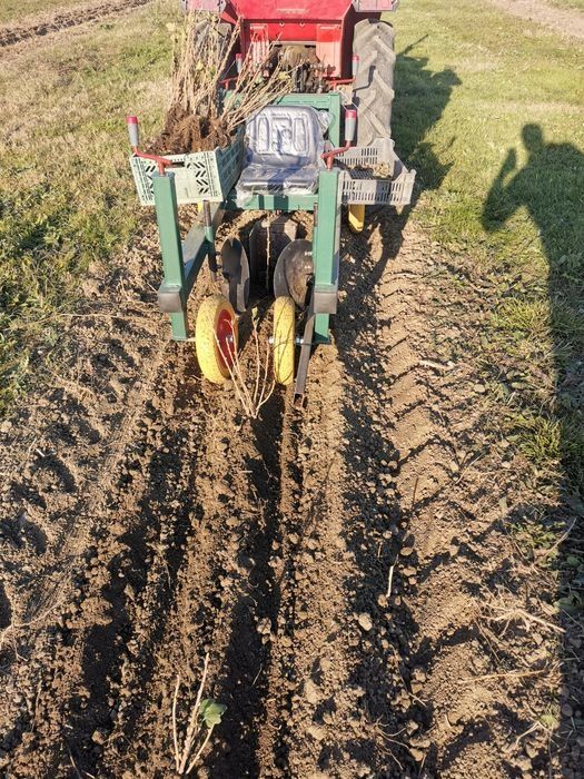 Plantator pomi si arbusti