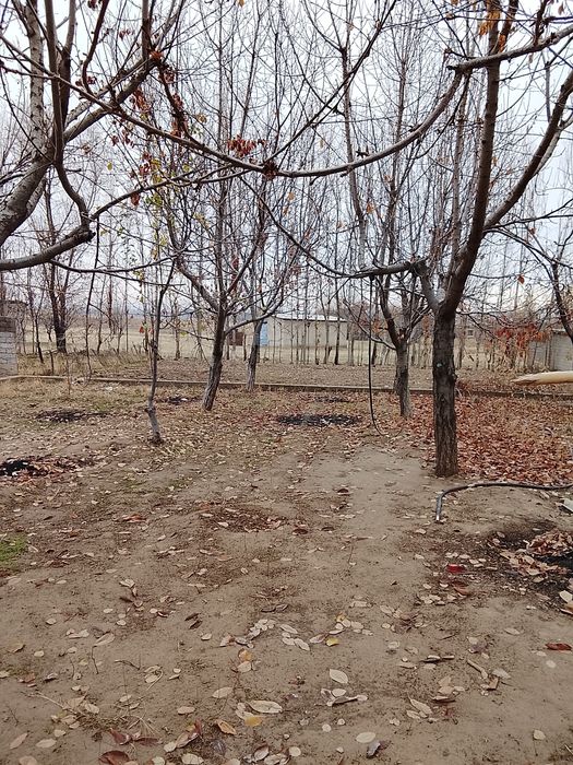 Ер участка сотилади 3 сотих