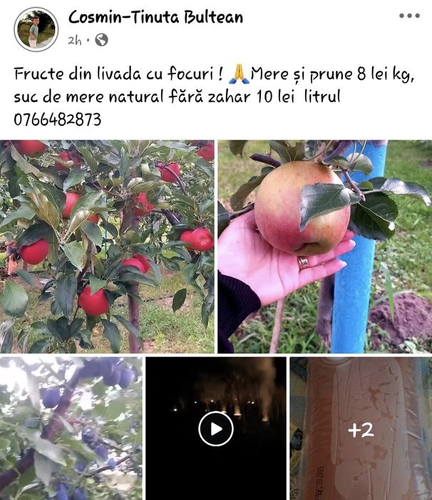 Fructe din livadă proprie +suc mere