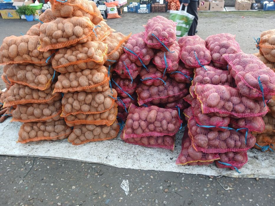 Cartofi de consum și sămânță