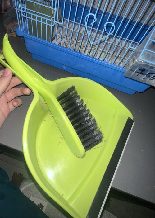 Продам попугаев срочно