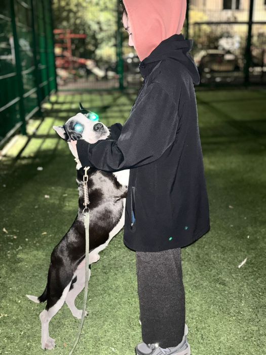 Кабель на вязку