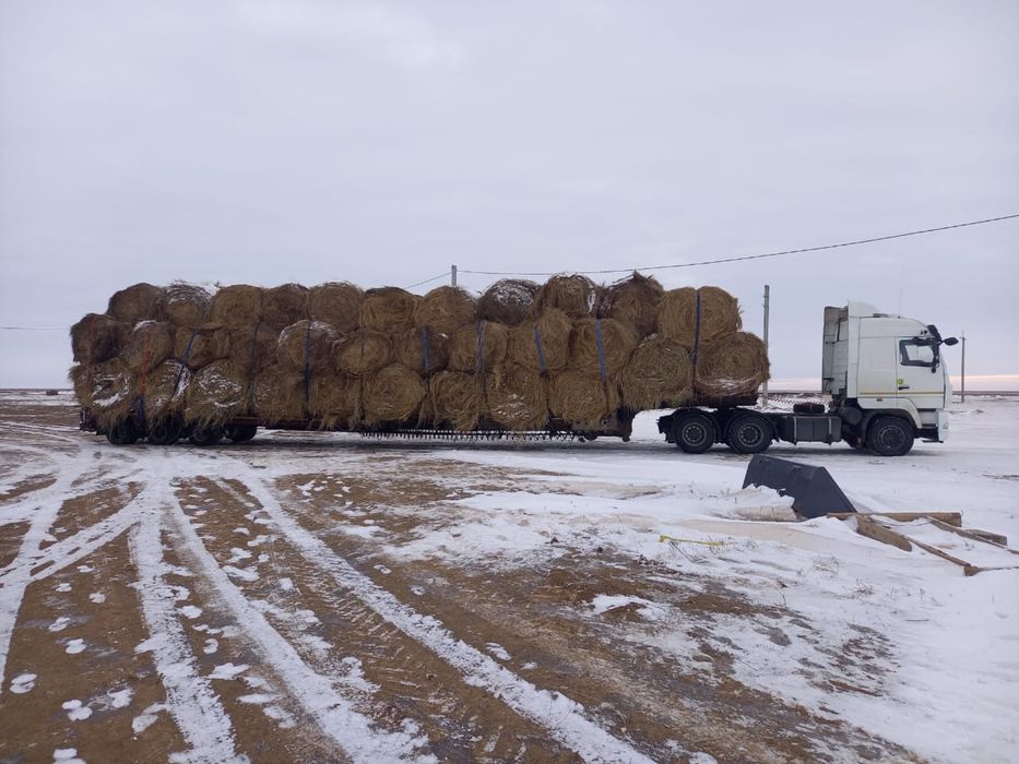 Перевозка спец техники