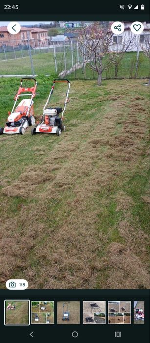 Curățare pomi/vita de vie/ amenajare gazon