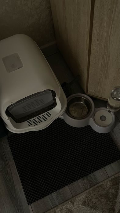 продам белый кот