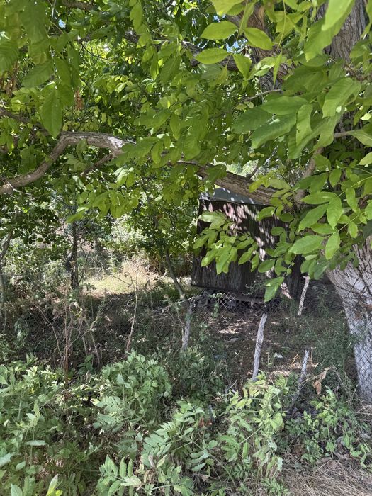 Продава се Парцел в Варна, Базар Левски - 900 кв.м за 28 €/кв.м - Снимка #1