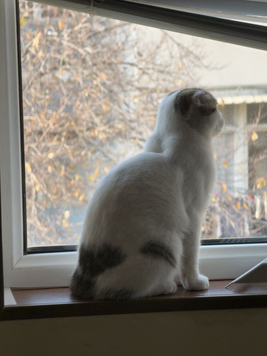 Срочно продается!!