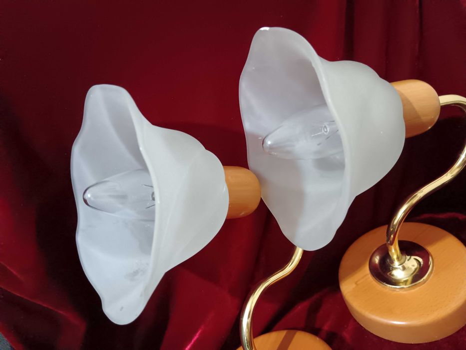 Aplice de perete – set de 2 – sticlă mată, model floare