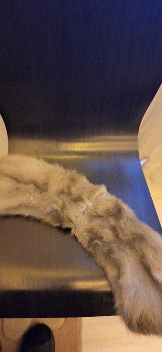 haina vulpe argintie noua 900lei caciula vulpe argintie 120lei toca 90