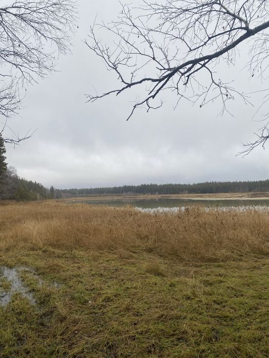 Продажа земельного участка срочно