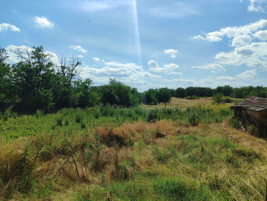 Продава се Къща в с. Къпиново, Област Добрич - 80 кв.м за 49 €/кв.м - Снимка #10