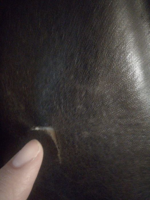 Дублленка тёплая волк