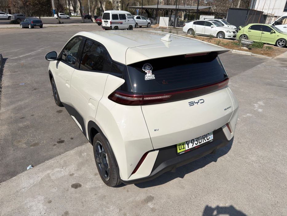 Byd seagull 405 km запас хода. С зимней резиной в комплекте.