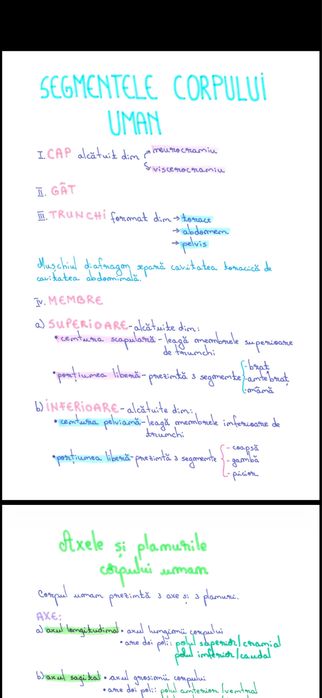 Dosar bac biologie Anatomie