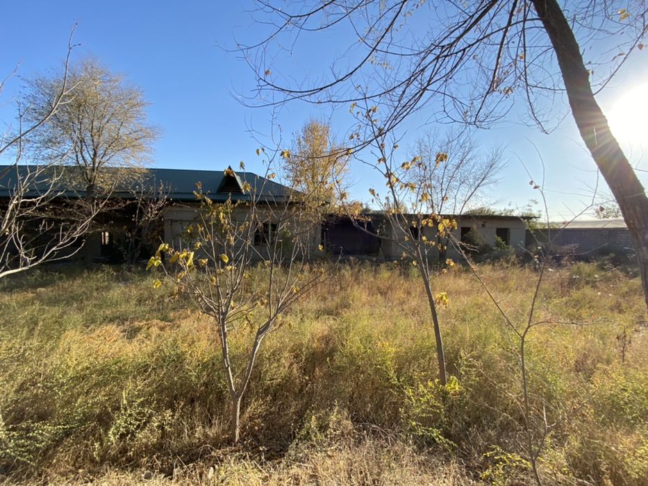 Сирдарё туманида трасса ёкасида 55 сотих биноси билан сотилади