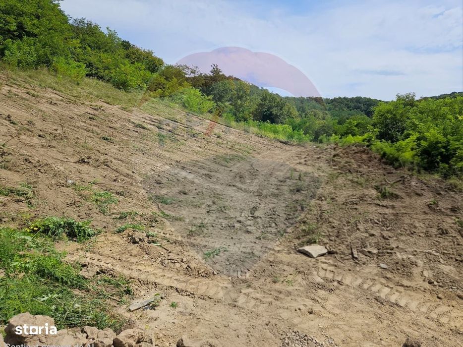 Teren intravilan pentru casa din doua parcele a cate 800mp fiecare