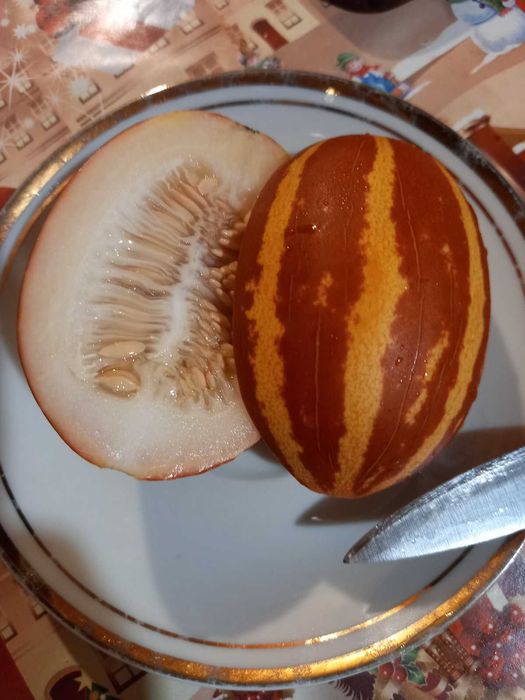 Семена от мини пъпеши - 20 бр