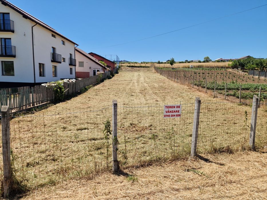 Defrisat tocat curățat terenuri