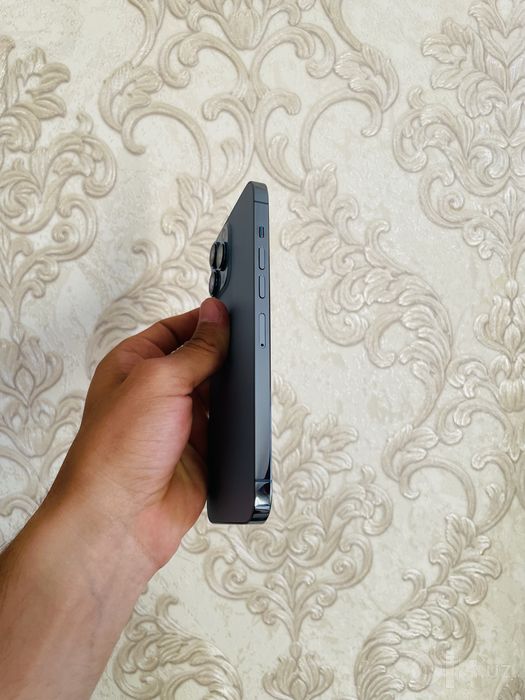 Iphone 13 pro max ideal