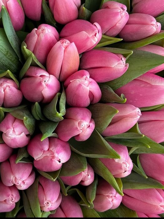 Тюльпаны хрустящие