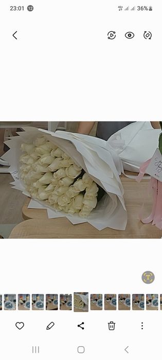 Балғын гүл 51 шт