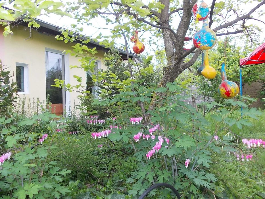 Продава се Къща в с. Юнаците, Област Пазарджик - 110 кв.м за 673 €/кв.м - Снимка #13