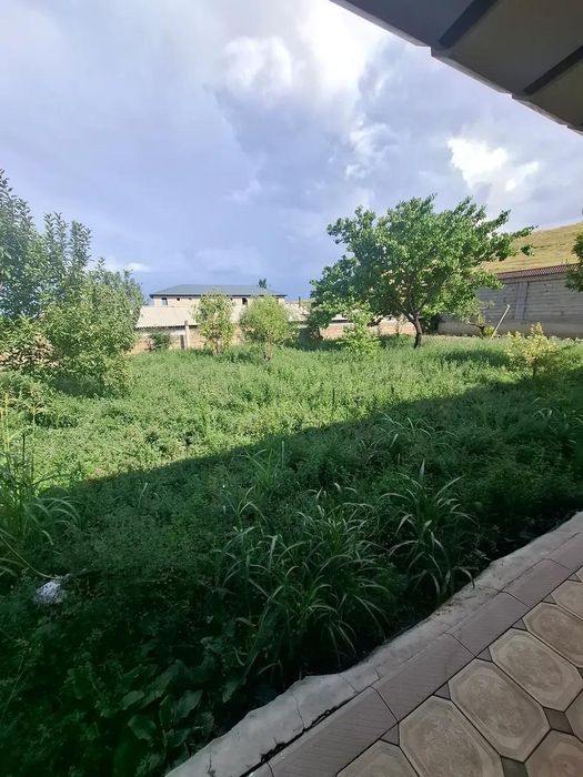 Клевер (жонгышка)