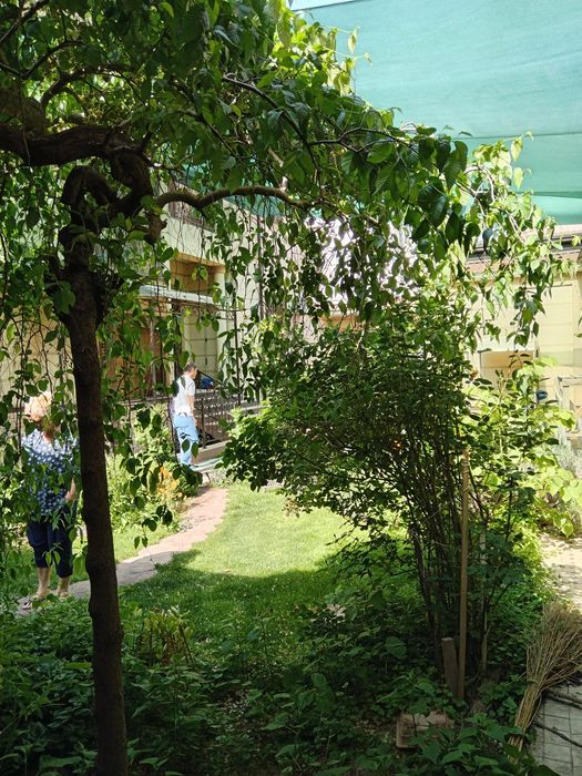 Quyoshga setka va mikrakilimat