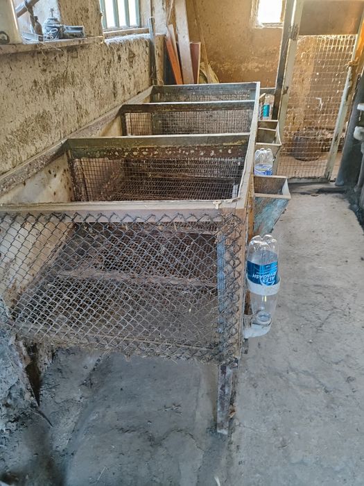 Клетки для содержания кроликов.