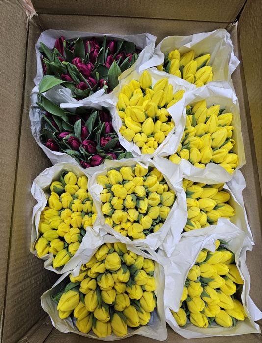 Тюльпаны оптом и в розницу клубника в шоколаде