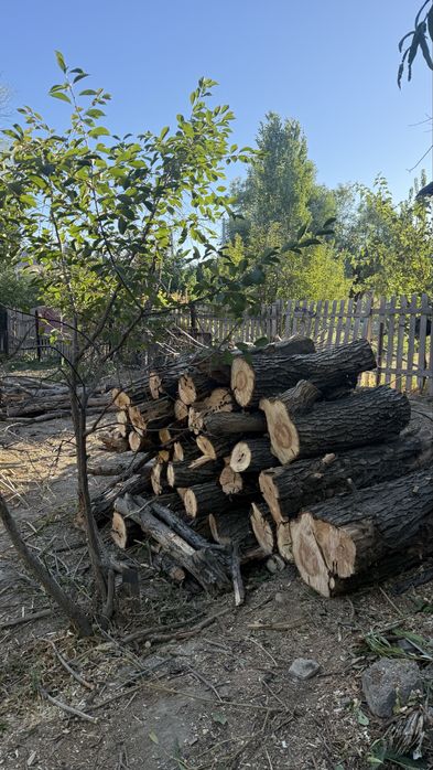 Отын ағаш сатылады!