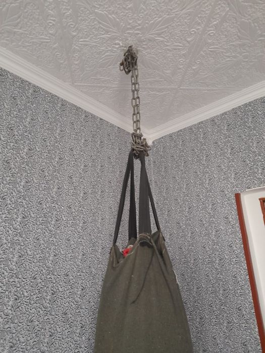 Продам грушу навесную