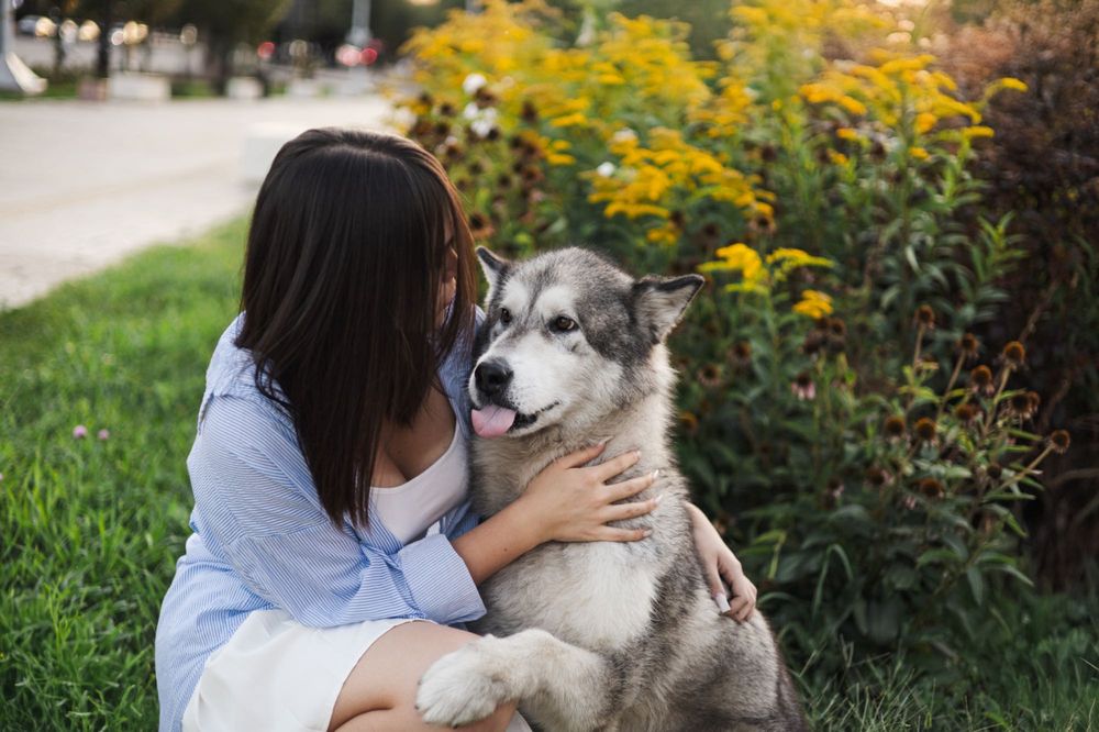 фотосессия с волком