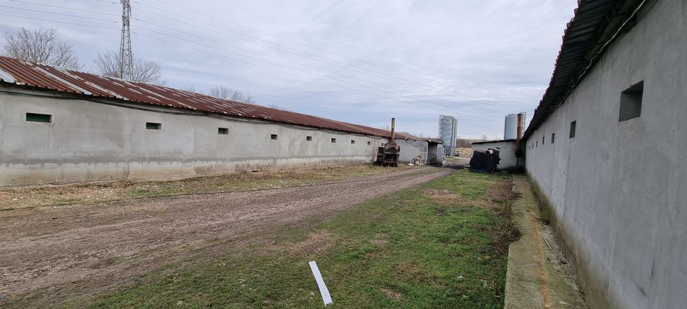 Продава се Промишлена сграда в с. Ушинци, Област Разград - 1620 кв.м за 189 €/кв.м - Снимка #10