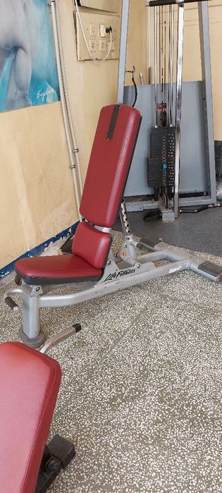 Професионална подвижна пейка Precor icarian,скрипец