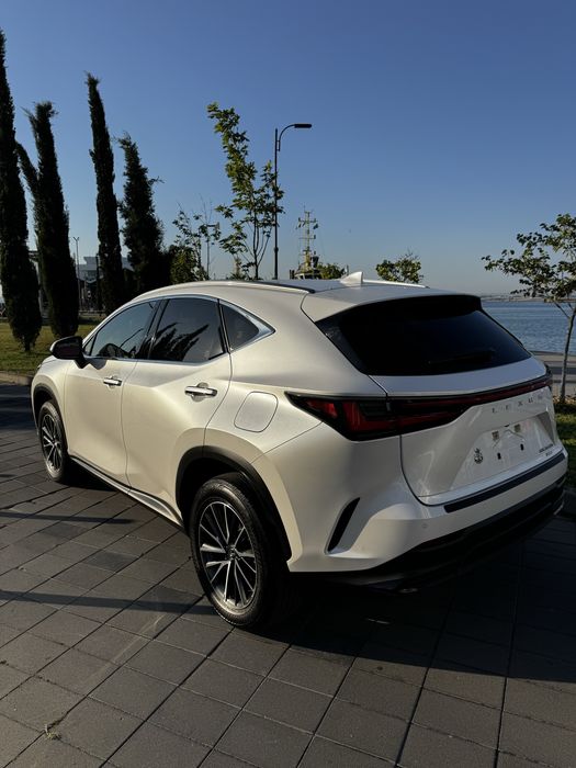 NX 350H awd luxury