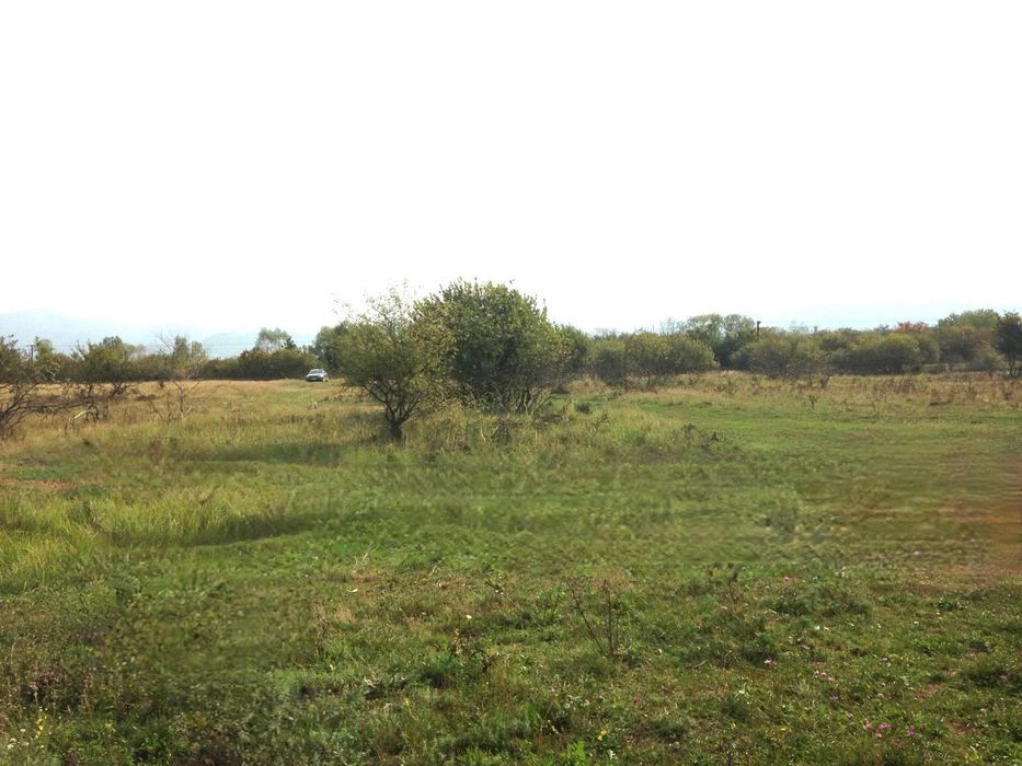 Teren  extravilant Negresti-Oas