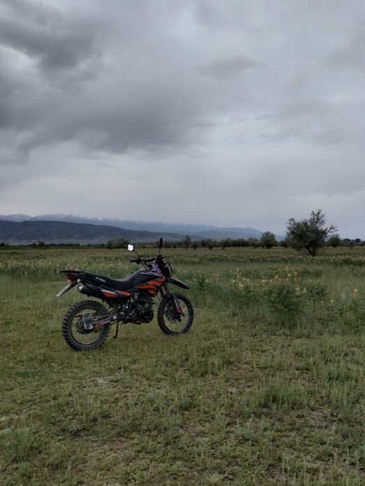 мото сатлатттттт