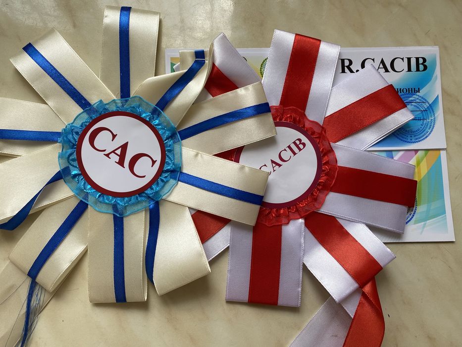 Вязка лабрадор палевый