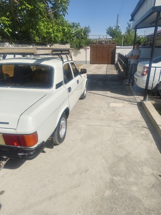 VOLGA 3129  haloti alo