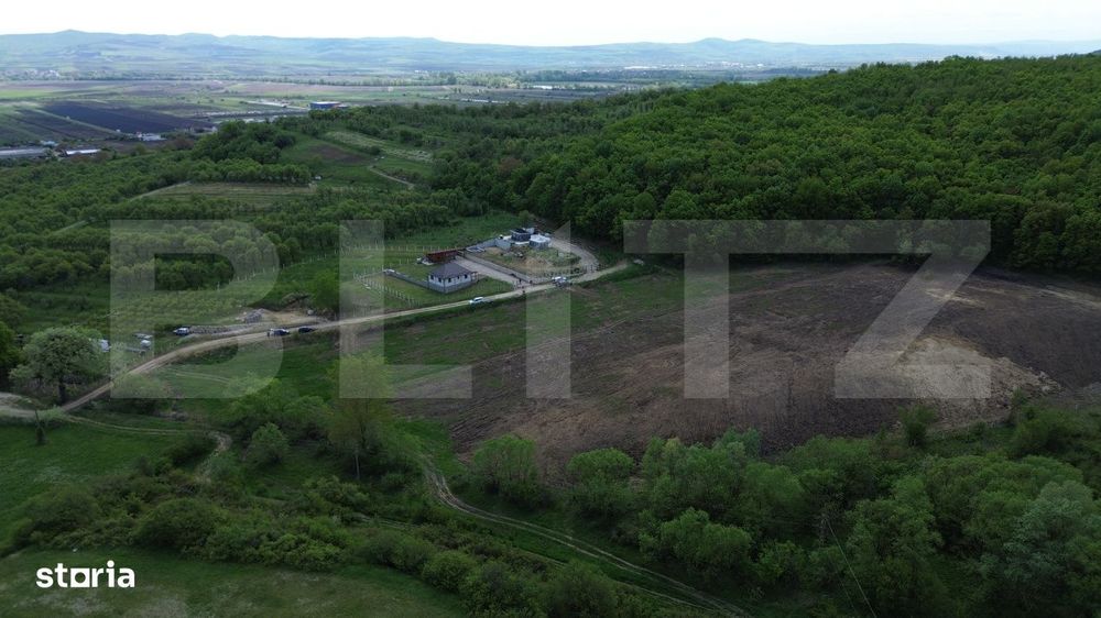 Teren 15.100 mp la baza padurii – ideal parcelare | 14 loturi | priv