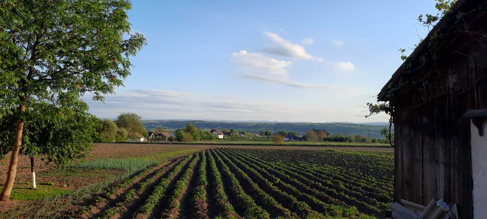 Vând casă + teren, sat Dănila, comuna Dărmănești