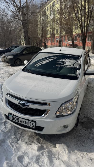 Сдам в аренду кобалт